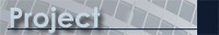 Project